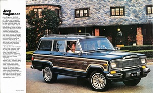 1981 Jeep Wagoneer-06-07.jpg